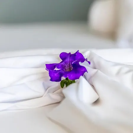 Onites Elegant Apartamento *