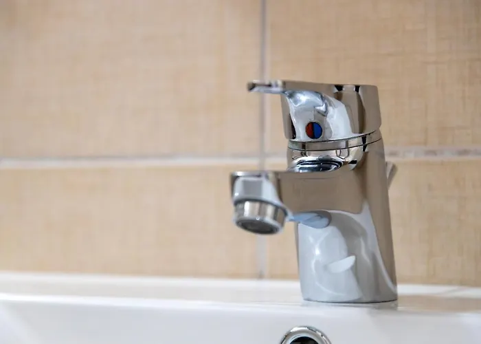 Onites Elegant 斯卡拉伯塔麦斯