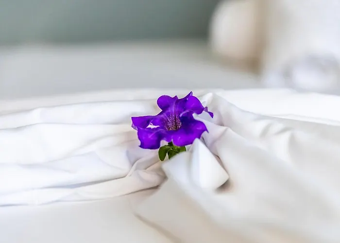 Onites Elegant 公寓 *