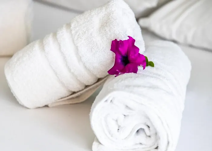 公寓 Onites Elegant *