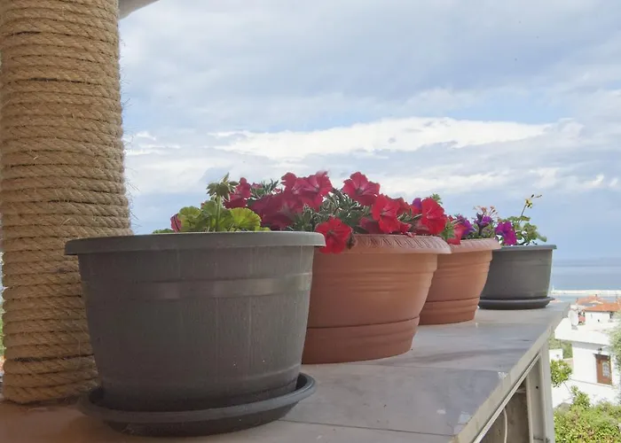 公寓 Onites Elegant *